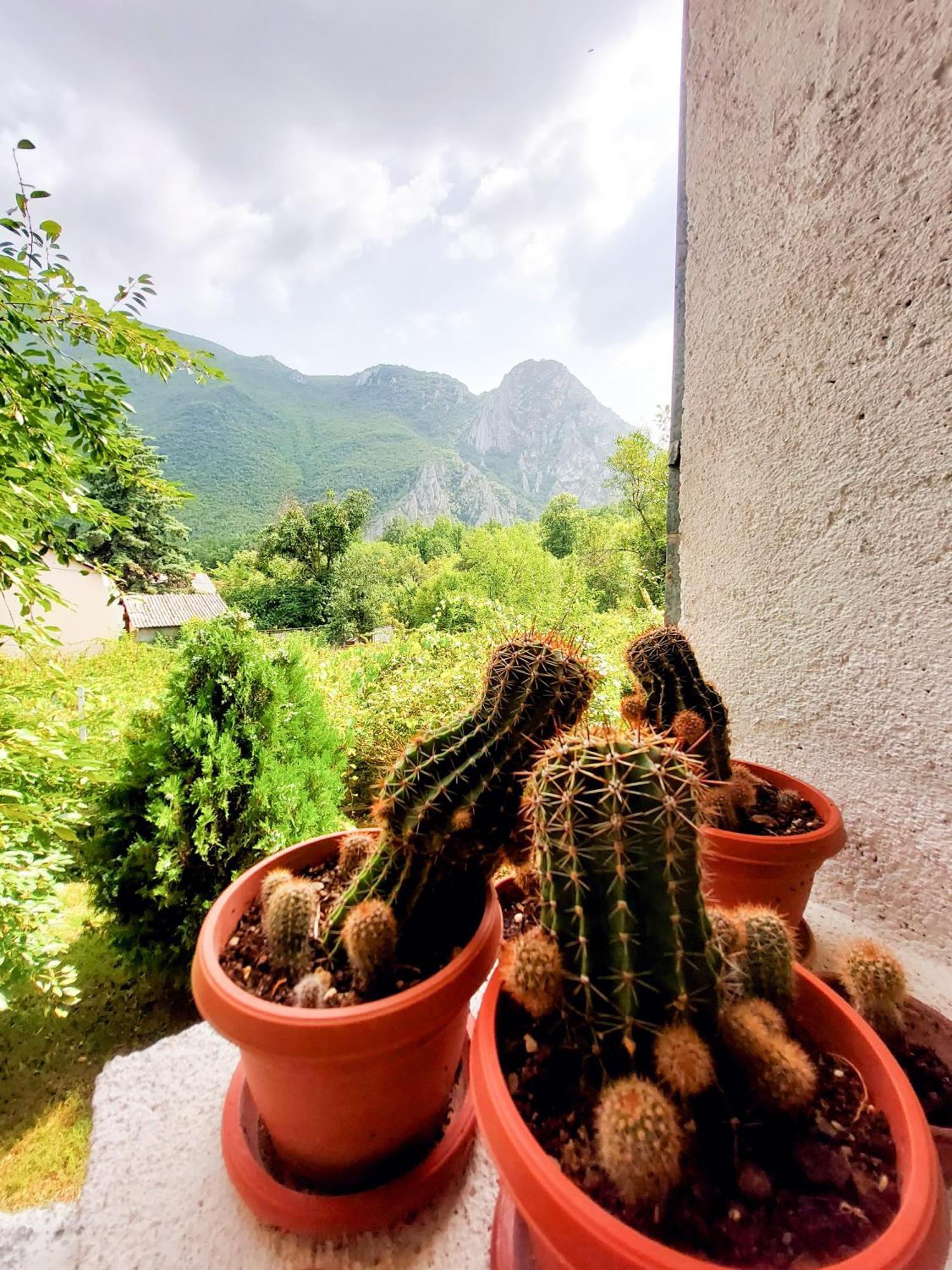 Impeccable Apartment With View In Dolna Matka Σκόπια Εξωτερικό φωτογραφία